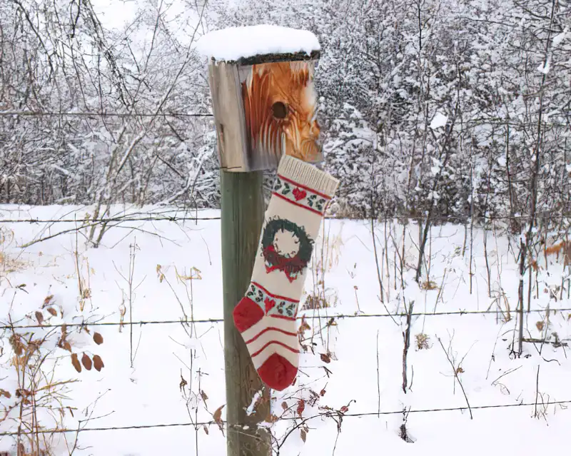 hang stockings from fence for rustic look