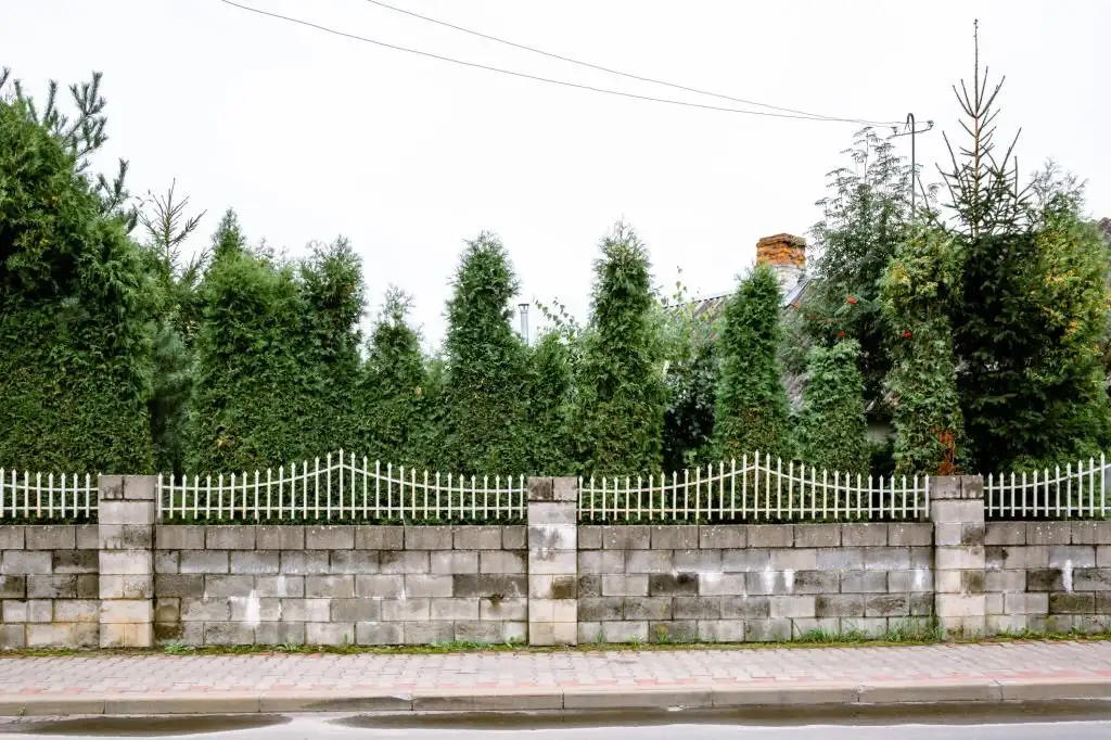 iron fence with brick border denham springs louisiana