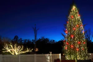 put christmas tree next for fence decoration
